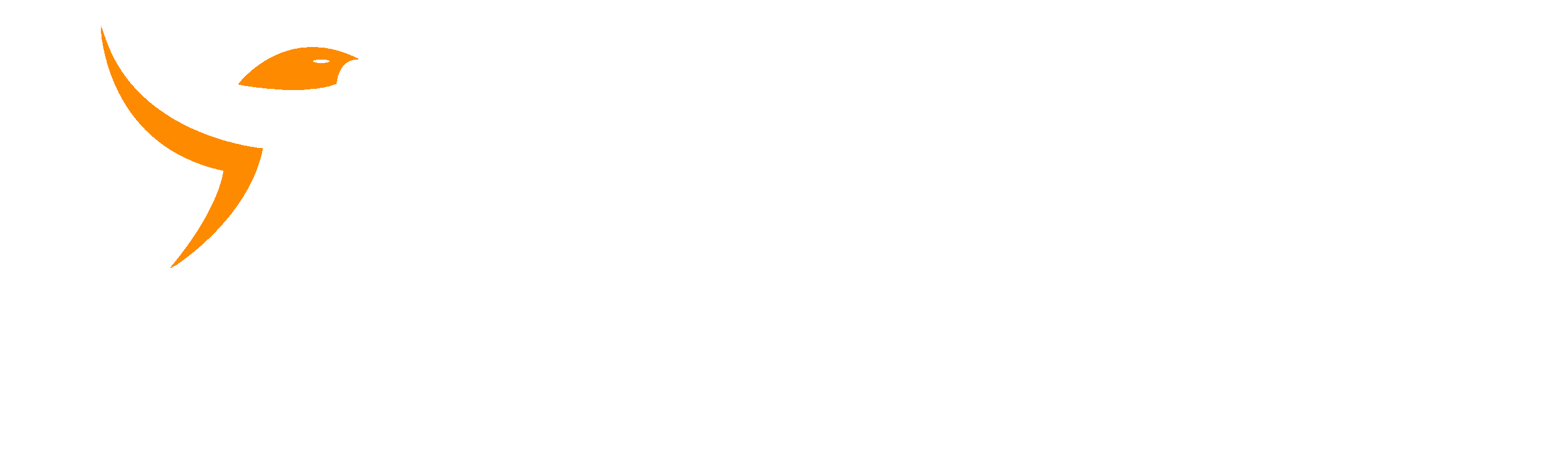 BASK Facility Services GmbH